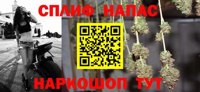 гашик Новокубанск